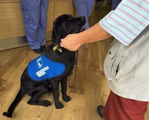 Practice helps Guide Dogs charity