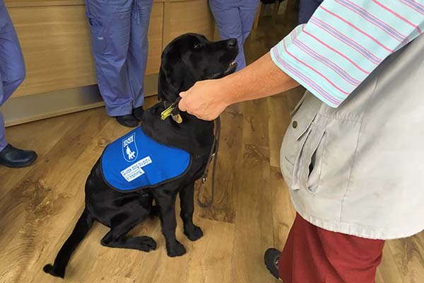 Practice helps Guide Dogs charity